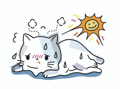 夏バテ初体験