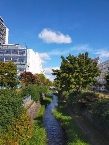 今年も紅葉の季節がやってきました